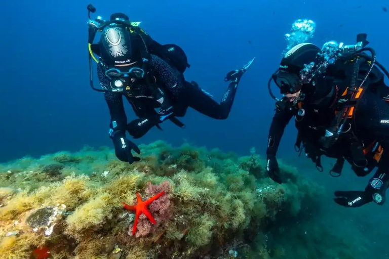 Marseille: Introduction to Scuba Diving in the Calanques National Park Marseille: Introduction to Scuba Diving at Calanques National Park