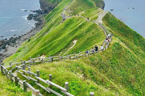Yoichi: Fruit Picking & Coast Tour with Shine Muscat Option Fruit Picking Day Trip (Picking Ticket Not Included)