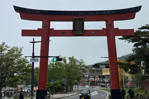 Tokyo: Nikko Private Day Tour with Pickup