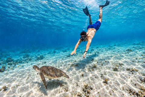 From Gili Air: Snorkelling Trip with Turtles, Statue & GoPro From Gili Air: Shared Snorkeling with Turtles, Statue &GoPro