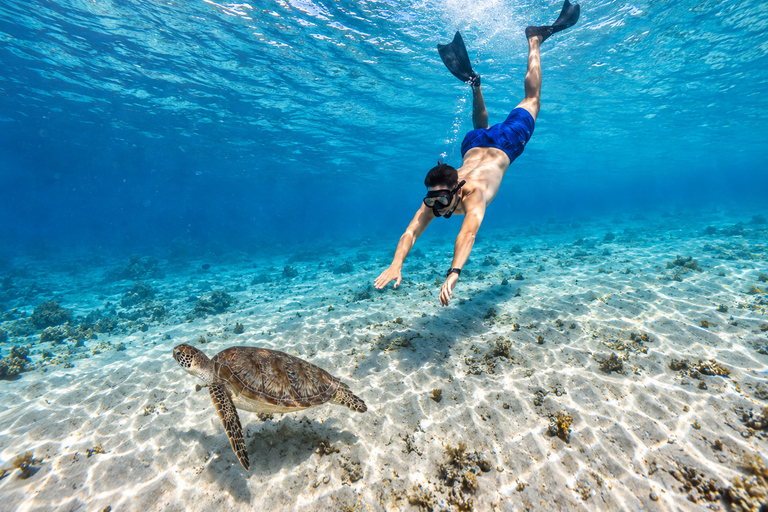 From Gili Air: Snorkelling Trip with Turtles, Statue & GoPro From Gili Air: Shared Snorkeling with Turtles, Statue &GoPro
