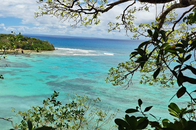 4x4 Land Rover day trip with Fanm Sosyal Kréyol in Guadeloupe Half-Day