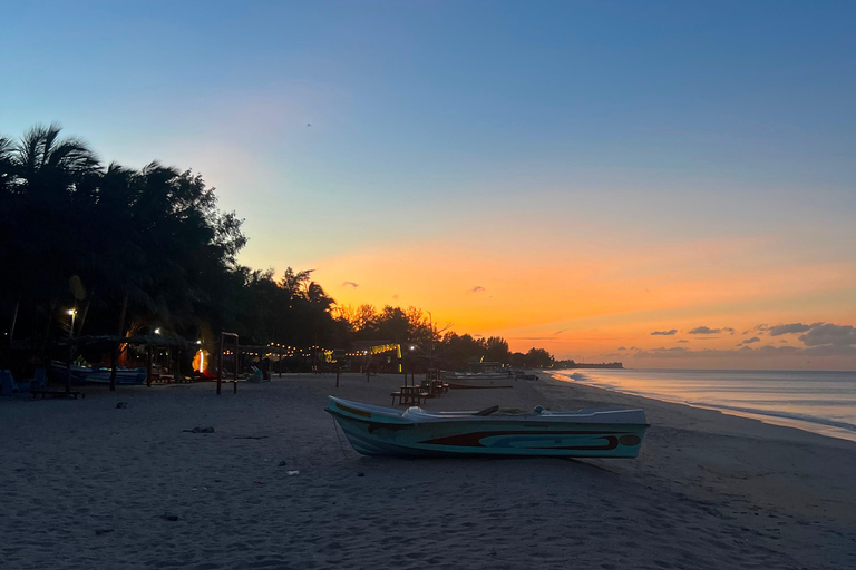 Sri Lanka: 6-Day Cultural & Coastal Adventure Tour