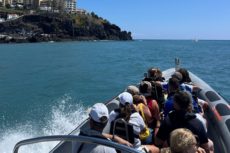 Boat Trip - Ponta de São Lourenço + Snorkeling Snorkeling Experience - Ponta de São Lourenço