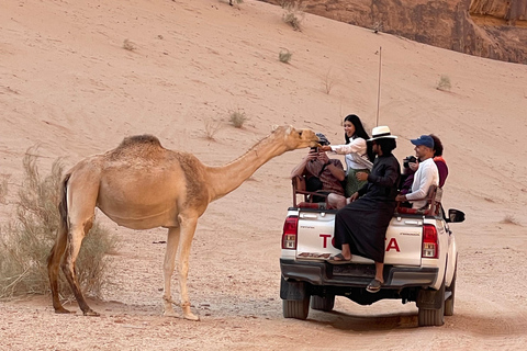 WADI RUM:FULL-DAY DESERT TOUR WITH LOCAL GUIDE, SUNSET & TEA