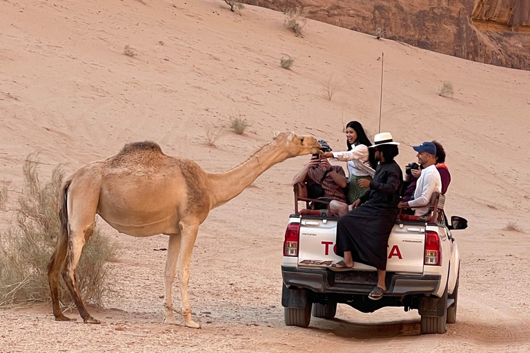 WADI RUM:FULL-DAY DESERT TOUR WITH LOCAL GUIDE, SUNSET & TEA