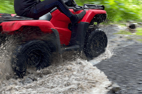 Bird Creek: Chugach State Park ATV Nature Tour & Hike Afternoon Adventure - Single ATV