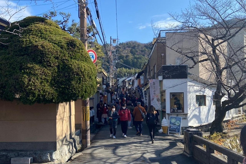 E-Bike Tour in Kyoto with Asuka, Japanese graduate student