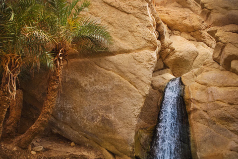 توزر: جولة لمدة يومين في جنوب تونس مع فندق من جربة