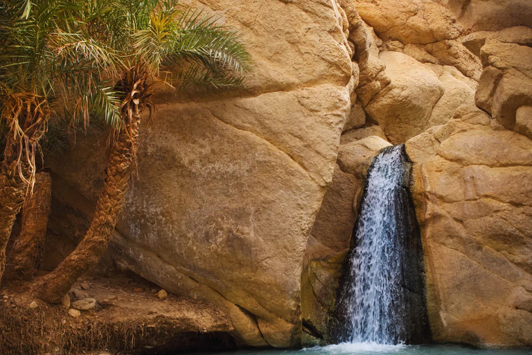 توزر: جولة لمدة يومين في جنوب تونس مع فندق من جربة