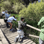 Da Siviglia: Escursione di un giorno al Parco Nazionale di Doñana