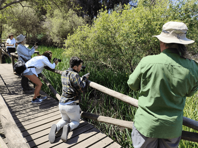 From Seville: Doñana National Park Day Trip