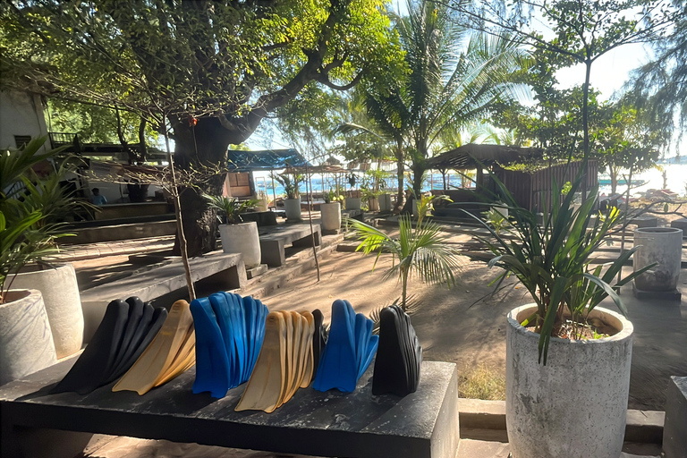 Shared 3 Gili Islands Snorkeling Tour with Turtles & Reefs