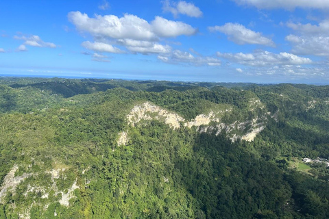 San Juan : visite privée de l'île en hélicoptère