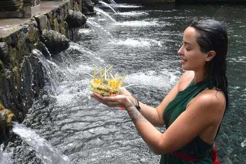 Ubud: Monkey Forest, Pura, Rice Terraces, Hidden Waterfall Ubud : Private Tour With Ticket