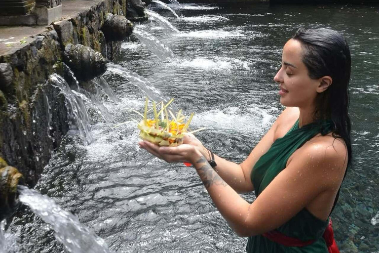 Ubud: Monkey Forest, Pura, Rice Terraces, Hidden Waterfall Ubud : Private Tour With Ticket