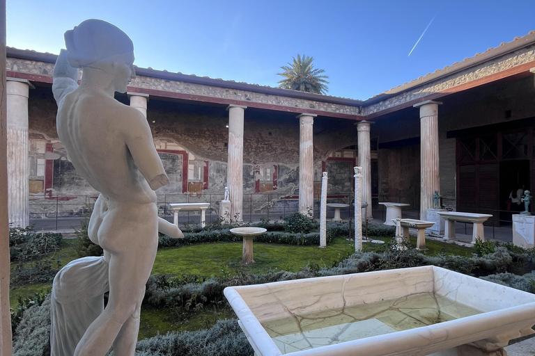 From Naples: Pompeii and Matera Day Trip with Transfer From Matera to Naples: Transfer & Pompeii Ticket