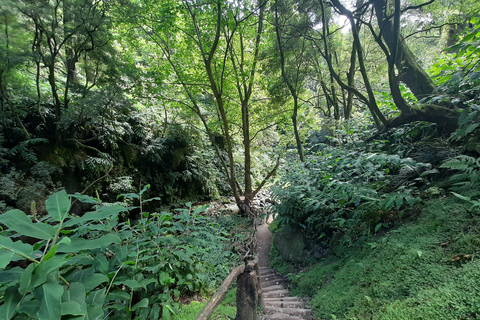São Miguel: Moinho do Felix-Wanderung mit Besuch der Teefabrik