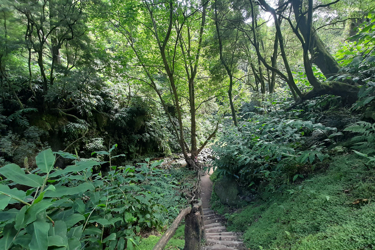 São Miguel: Moinho do Felix-Wanderung mit Besuch der Teefabrik