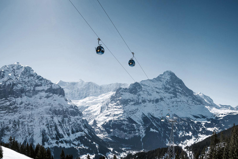 Luzern: Interlaken und Grindelwald Tagestour Schweizer Alpen