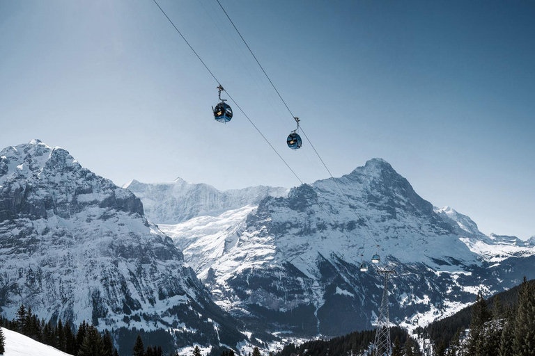 Luzern: Interlaken und Grindelwald Tagestour Schweizer Alpen