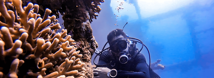 Aqaba Dive Adventure : Explorez la mer Rouge lors d'une excursion