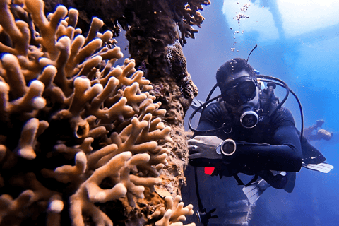 Aventura de buceo en Aqaba: Explora el Mar Rojo en una excursión