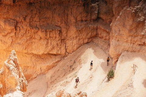 Las Vegas: Wycieczka z lunchem do parków narodowych Bryce i ZionLas Vegas: wycieczka do parków narodowych Bryce i Zion z lunchem