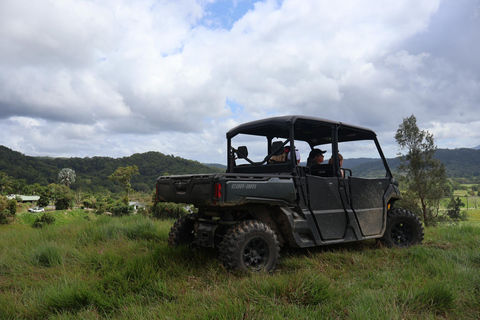 Daintree waters tour, all terrain vehicles and light lunch.