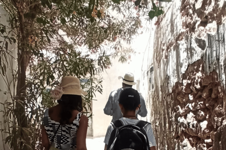Djerba: UNESCO Heritage Tour with Licensed Guide