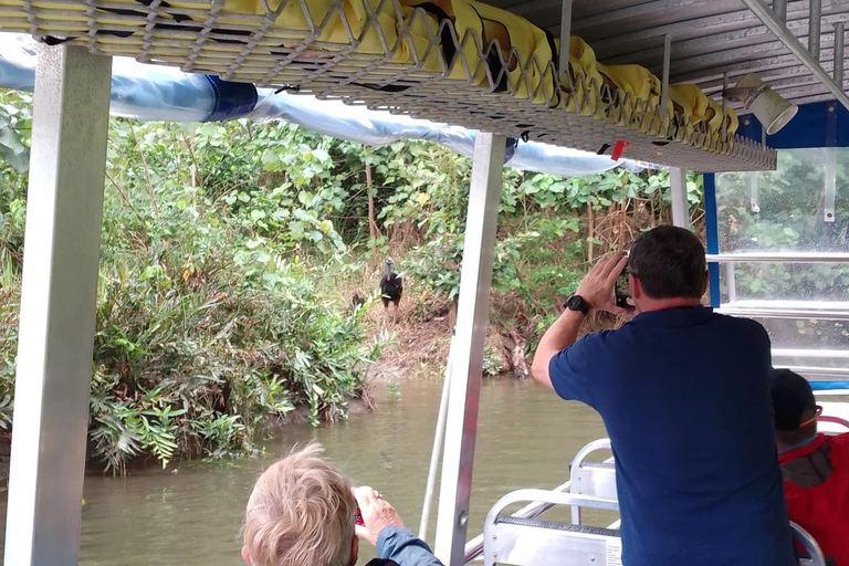 Daintree Rainforest: Flusskreuzfahrt und Regenwaldspaziergang