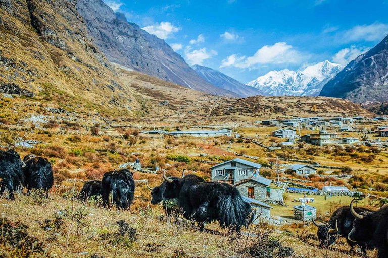 Z Katmandu: 5-dniowa wycieczka przyrodnicza do doliny Langtang