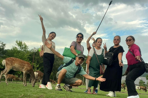 Nara: Private Tour zu Fuß