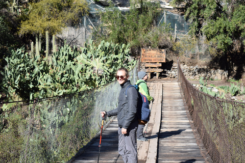 Trekking und Verkostungserlebnis in Viña Alyan