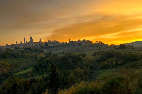 Tour di Siena e San Gimignano in van da Lucca o Pisa