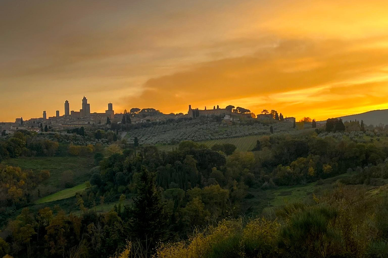 Tour di Siena e San Gimignano in van da Lucca o Pisa