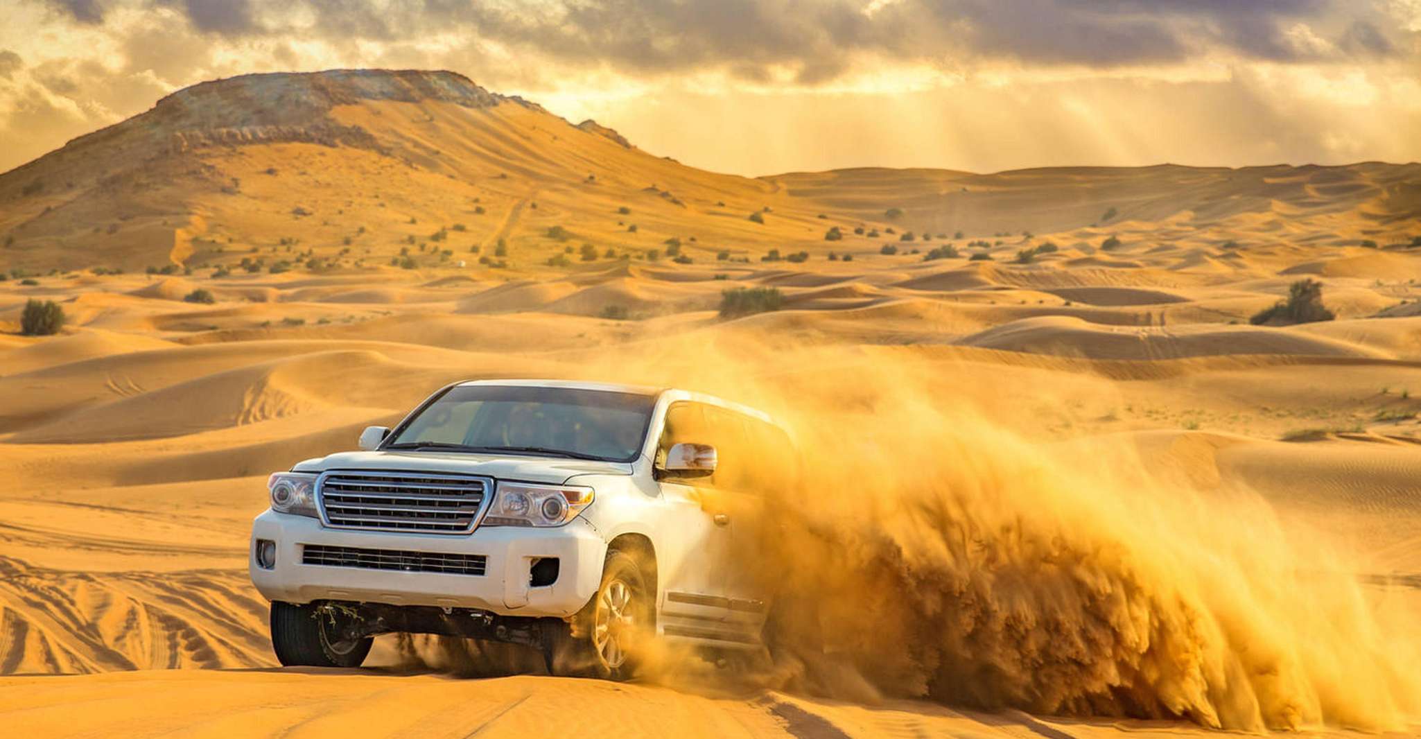 Qatar: Desert Safari, Camel Ride, Inland sea, Sandboarding photo 5