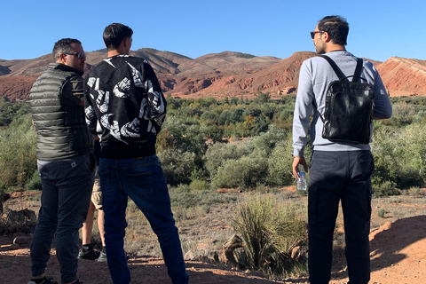 Dagtrip naar het Atlasgebergte vanuit Marrakesh