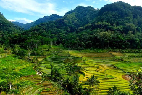 Yogyakarta: Świątynia Selogriyo i miękki trekking po tarasach ryżowych