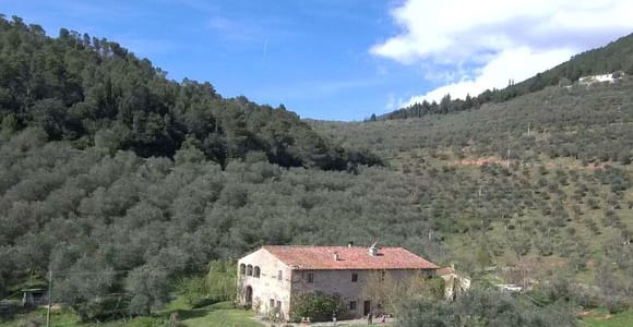 Olivenmühlen Tour mit Öl- und Foodtastings in der Nähe von Pisa