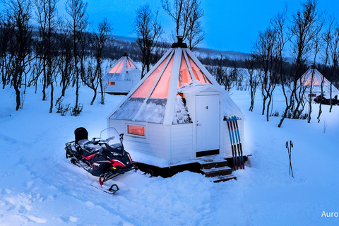 Tromsø: Lyngen Alps Guided Snowmobile Tour/ Afternoon