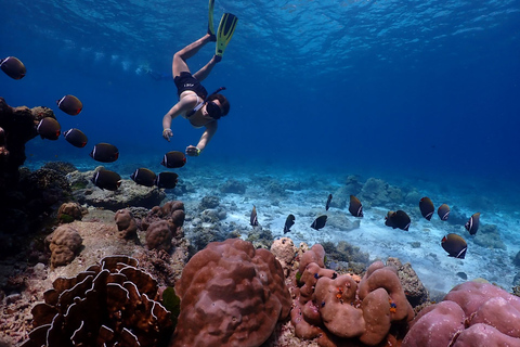 Ilha Similan - SnorkelingOpção Catamarã