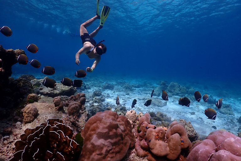 Isola Similan - SnorkelingOpzione motoscafo