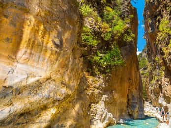 Da Chania/Kalyves: Escursione di un giorno alla gola di Samaria