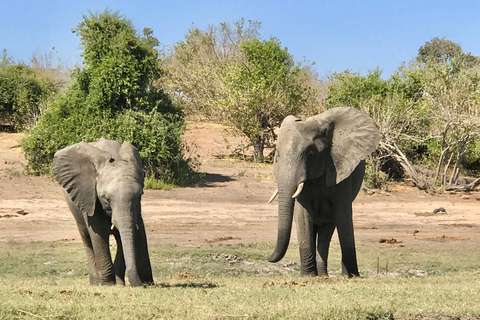 Livingstone Mosi-oa-Tunya 4x4 Rhino Tracking and Lunch