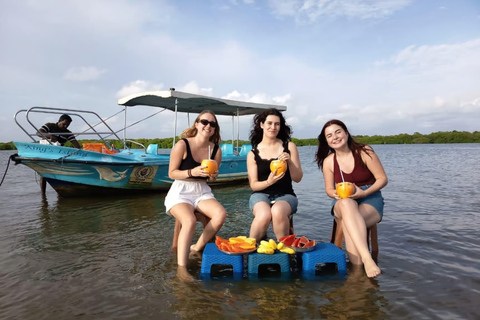 Hamilton Canal Boat Sapari & Negombo Mangrove Sightseeing