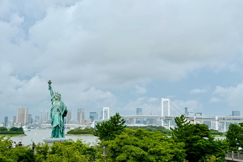 Tokyo Private Sightseeing Tour Customizable with Guide
