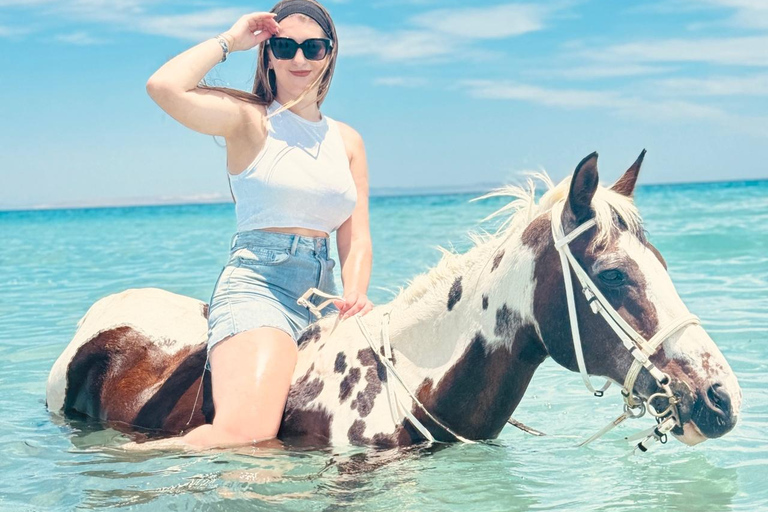الغردقة: جولة ركوب الخيل في الصحراء والبحر مع خيار السباحةجولة لمدة ساعتين لركوب الخيل بدون السباح