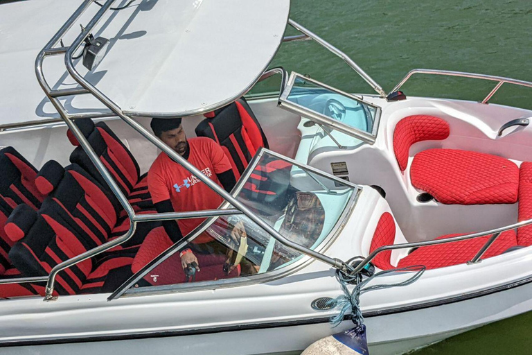 Observation des baleines en bateau rapide à Mirissa