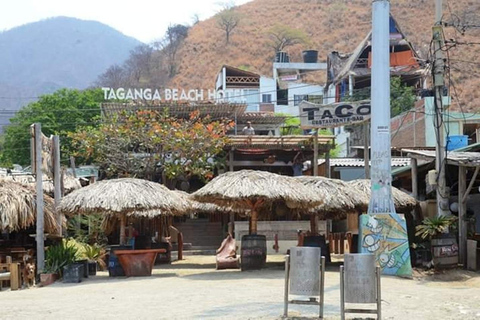 Santa Marta: Historic City Tour and Quinta de San Pedro Alejandrino